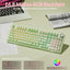 XFF3-KYKI99P-GN-06.jpg