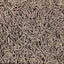 XFPH-CL-GT-3PL-01.jpg