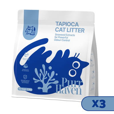 XFPH-CL-TP-3BU-00.jpg