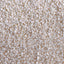 XFPH-CL-TP-3BU-01.jpg