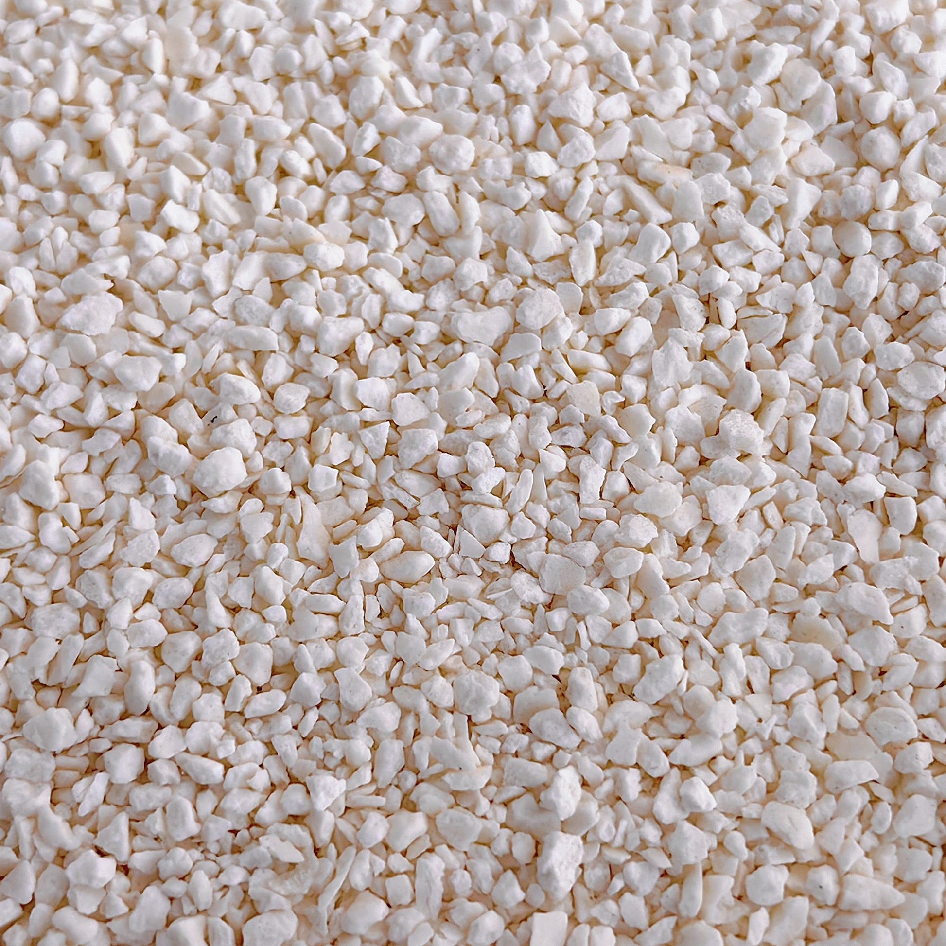 XFPH-CL-TP-3BU-01.jpg