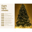 XM-TR-FULL-8FT-LED-202509291500-04.jpg