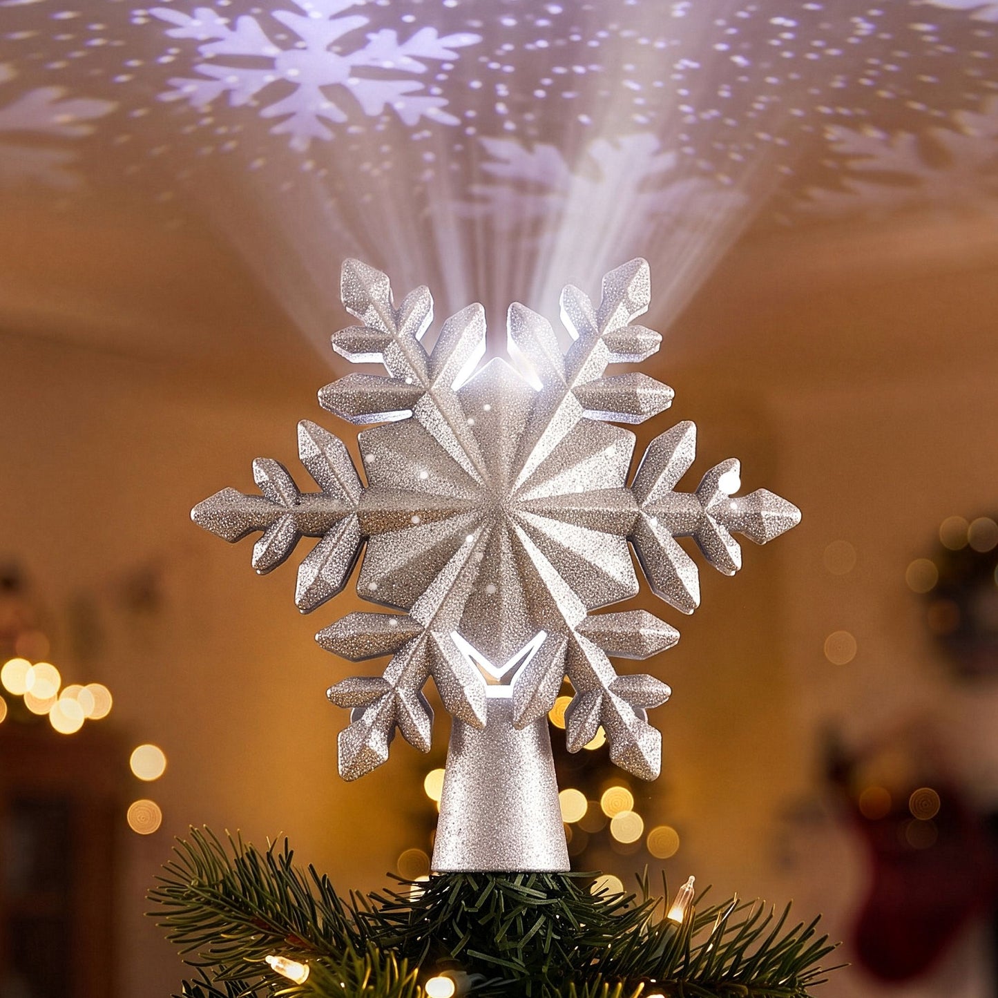 XM-TR-TOP-PROJ-SNOW-SI-10.jpg