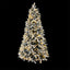 XM-TR-WELL-7FT-GS-LED-202509291600-00.jpg