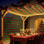 XMAS-NE1000-4X6-RG-06.jpg