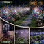 XMAS-PATH-FIRE-4PC-MC-05.jpg