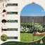 XMAS-PATH-FIRE-4PC-MC-06.jpg
