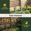XMAS-PATH-SPARK-3PC-WM-05.jpg