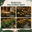 XMAS-PATH-SPARK-3PC-WM-06.jpg