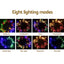 XMAS-ST500-100M-MC-202512031836-04.jpg