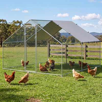 PET-CHICK-CAGE-3X3-ABC-00.jpg