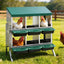 i.Pet Chicken Nesting Box Roll Away Metal Nesting Box Wall Mounted 6 Holes Green
